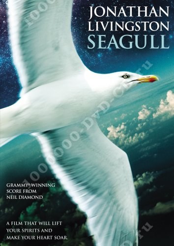 theme in jonathan livingston seagull theme in jonathan livingston seagull